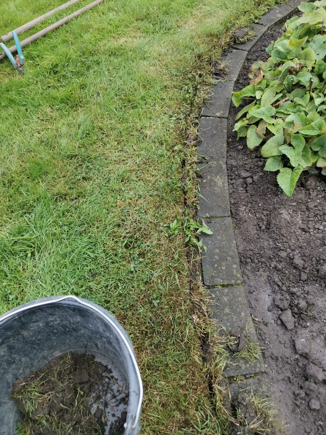 Gartenpflege von PESCHKE Hausmeister- & Gartenservice