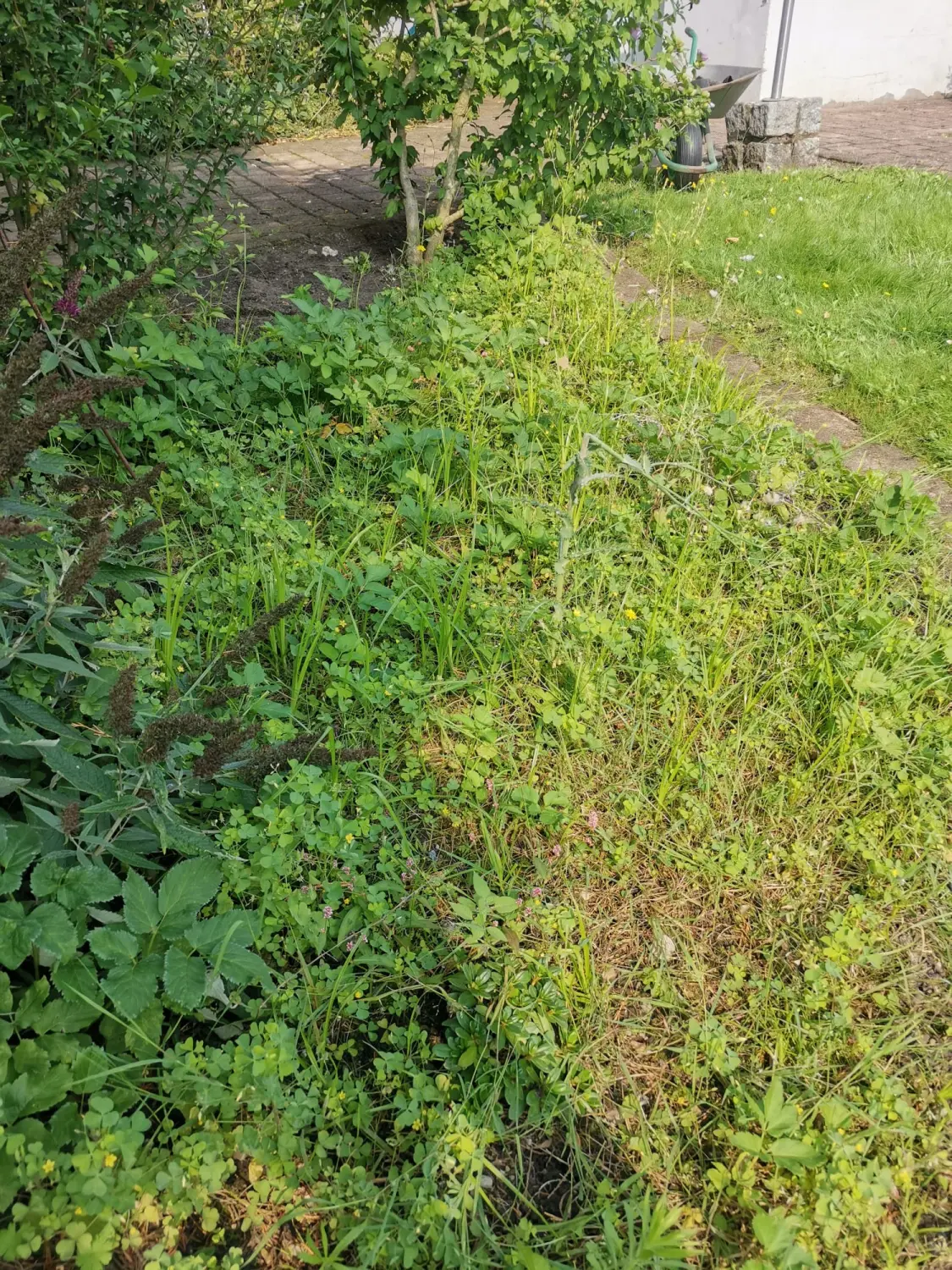 Gartenpflege von PESCHKE Hausmeister- & Gartenservice