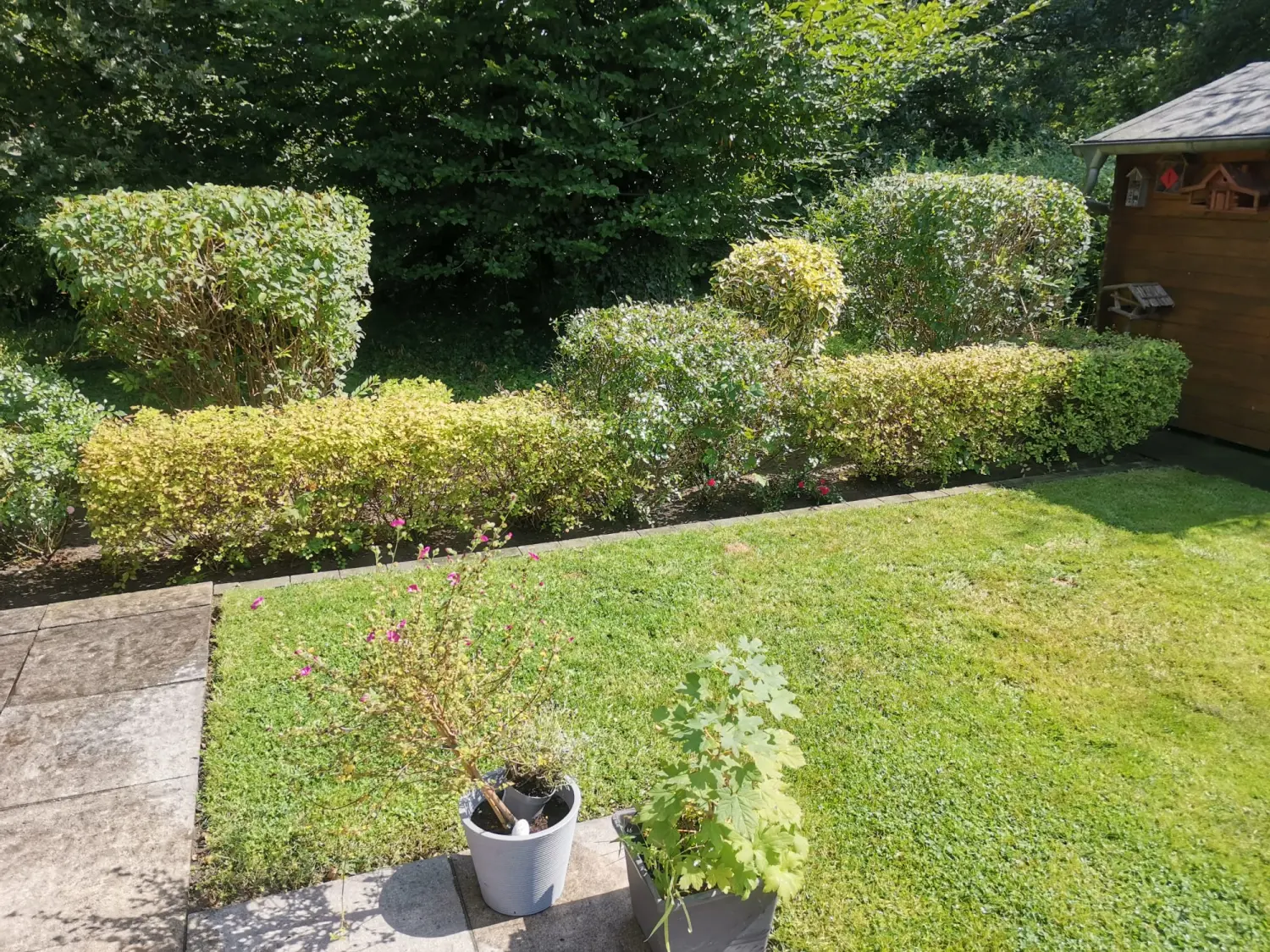 Gartenpflege von PESCHKE Hausmeister- & Gartenservice