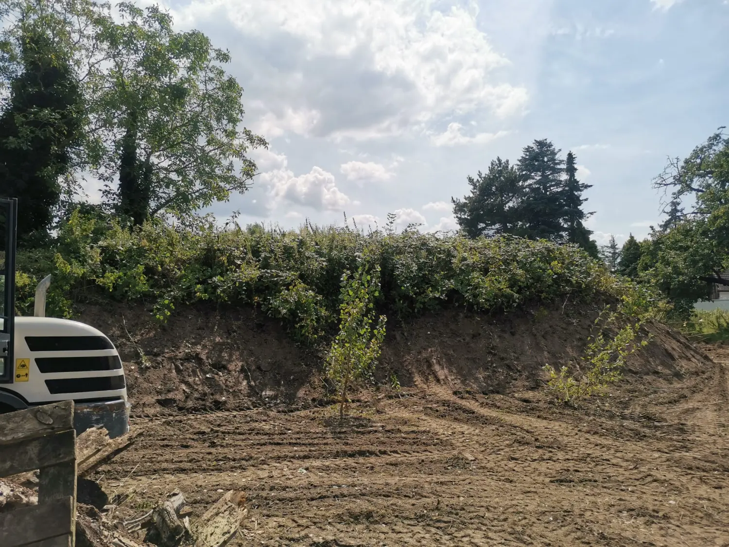 Gartenpflege von PESCHKE Hausmeister- & Gartenservice