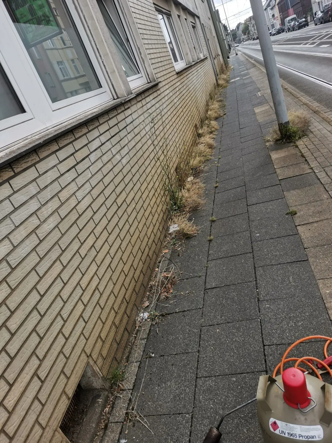 Grundstückspflege von PESCHKE Hausmeister- & Gartenservice